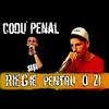 Lecție De Viață (Explicit) - codu' penal