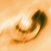 AMBER - Evito