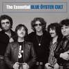 Harvester of Eyes - Blue Oyster Cult