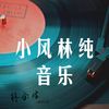 小风林纯音乐 - 林金煌