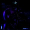 Obsessed (Slowed) - WEVLTH