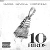 10 BIRDS (featuring Haystak and Whitefolks) (Explicit) - Skwirl&WhiteFolks&Haystak