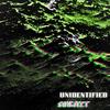 GREEN (Explicit) - Unsub