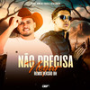 Nao Precisa Negar (Versao Bh) (Explicit) - Vitu Único&Josué Bom de Faixa&VORTEX