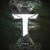 Animal - Teminite