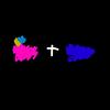 imliterallyboccher+roy (Explicit) - Hakurou白狼