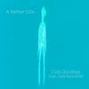 Cold Goodbye (feat. Pete Rawcliffe) - A Better Life&Pete Rawcliffe