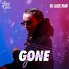 Gone - DJ Alex Man