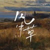 风中草 - 艾北