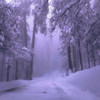 2024 winter.... - VLWXYSMILE