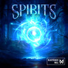 Spirits (Extended Mix) - Blasterjaxx&Riell