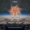 Synesthesia (Original Mix) - Marshmalien