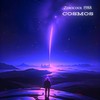 Cosmos - ZEROCOOL 1988
