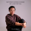 Nothing's Gonna Change My Love for You (Acoustic Version) - Felix Irwan