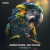 Baiana 2024 (Original Mix) - Dario Nunez&Javi Colina