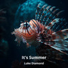 It's Summer - Luke Diamond&Alan Burke