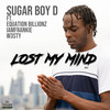 Lost My Mind - Sugar Boy D&Equation Billionz&W3STY&Iamfrankie