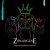 Zihlangene - djelectronic&Space Woza&Mr Dlali Number