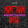 MONTAGEM ANDROGENO SINTICO (Explicit) - DJ NGK