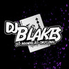 Dz7 Trava na Ponta da Pica e Não Para, Automotivo Portal da Dz7 (Explicit) - DJ BLAKES&Love Fluxos&Mc Nem Jm
