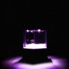 Sweetie - DELAY DI&KBLUE&TO KYO&D.Humberto