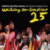 Walking on Sunshine (25th Anniversary) (2010 - Remaster) - Katrina And The Waves