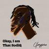 Okay, I am that SodiQ (Explicit) - Ginnyginius