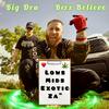 Low Mids Exotic Za (feat. Big Dru) (Explicit) - Bezz Believe&Big Dru