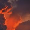 Vida - Oscar Arteaga&Fellah