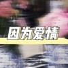 因为爱情 (治愈版) - 小妹仔