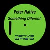 Something Diferent - Peter Native