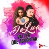 Vai Ter Que Aguentar (feat. DJ Alle Mark) - Delua&DJ Alle Mark