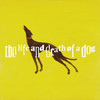 the life and death of a dog - maxime.&Maxime Trippenbach