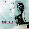 Depths of the Human Fall - Sonic Entity