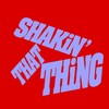 Shakin' That Thing (Extended Mix) - Kevin McKay&Rose Motion