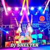 DJ SHELTER -INST - DJ Protons