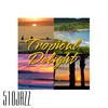 Tropical Delight (feat. D-Varg) - 510JAZZ&D-Varg