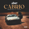 Cabrio - Śliwa&Leśny