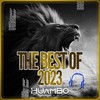 Bonobo (Fun Mix) - Raaccso