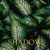 Shadow - Neuralink