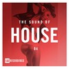 One House Plus (T2L Hit It Mix) - True2Life&Jazzloungerz&An-Tonic