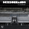 Money in, Money Out (Explicit) - Scizzorhands&Diggy Dupé