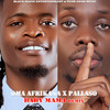 Baby Mama (Remix) - Oma Afrikana&Pallaso