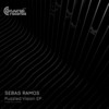 Puzzled Vision (Original Mix) - Sebas Ramos