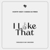 I Like That - Country Wizzy&Barakah The Prince&Ibrahim Ayoub Mandingo