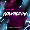 VEM TÔ MOLHADINHA (Explicit) - Mc Gibizinha&Dj Felipe Amadeu