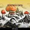 Sejatinya Cinta (Acoustic) - Kifli Gesec