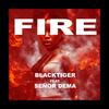 Fire (feat. Señor Dema) - BlackTiger&Señor Dema