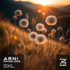 Dandelions (Focus FL Remix) - Arni&Focus FL