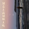 别爱太满别睡太晚 (DJ Eva版) - 小灿